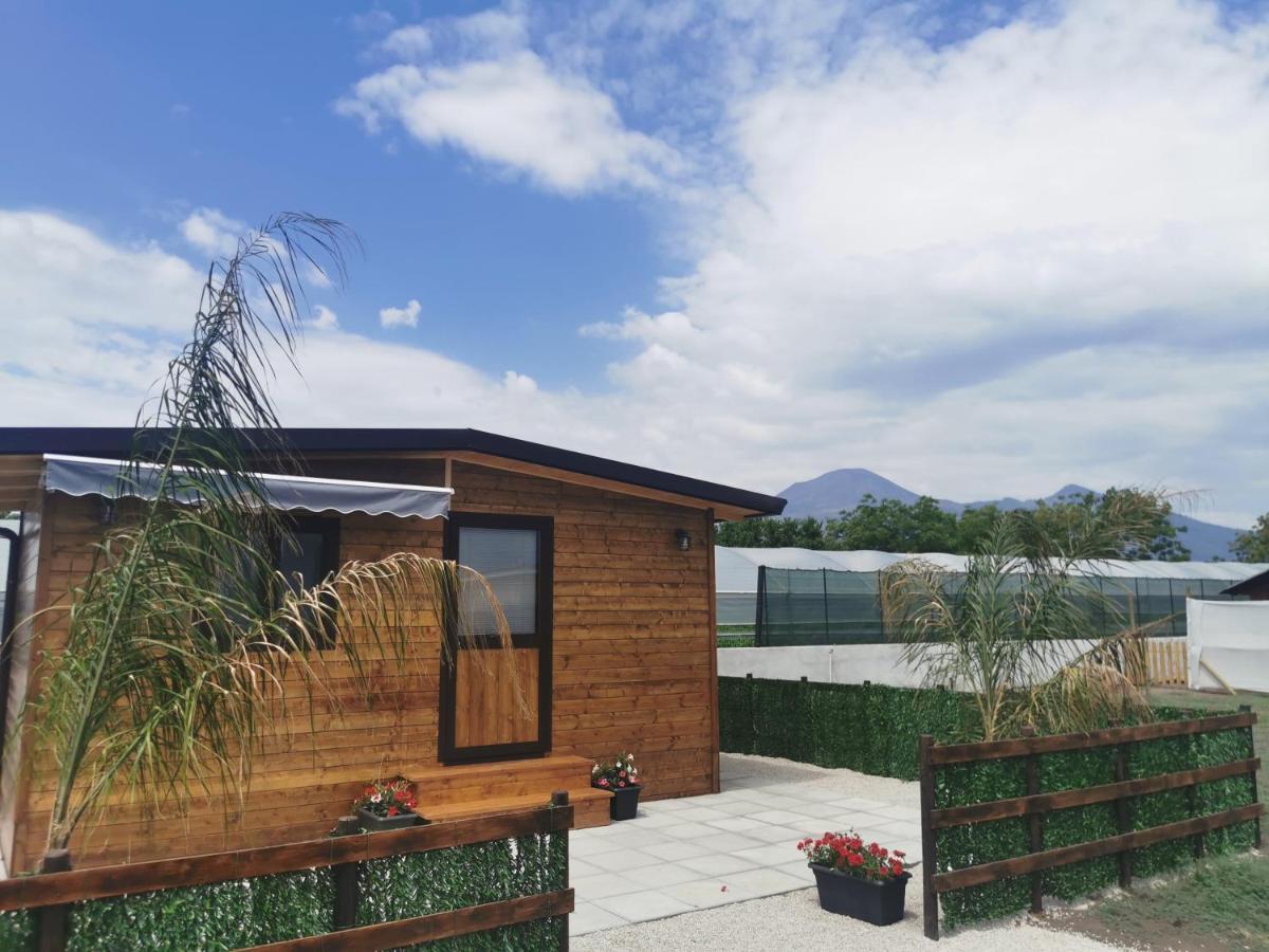 Apartament Vesuvius Chalet Relax Boscoreale Zewnętrze zdjęcie